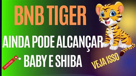 Bnb Tiger Urgente A Saga Continua E Holdhers S Aumentam Pode