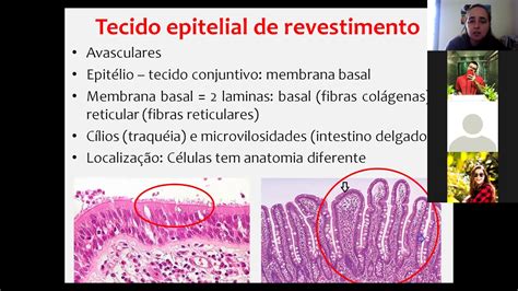 Biologia Tecido Epitelial Parte Youtube