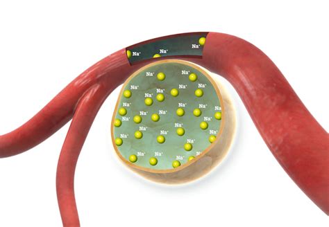 Kan Man Drikke Vann Under Ramadan