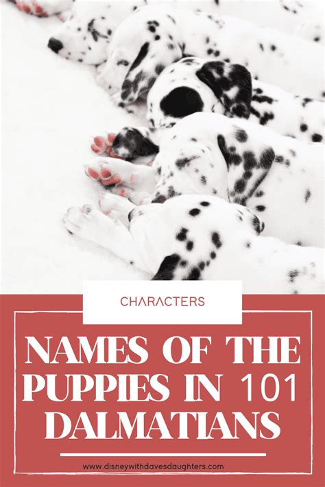 101 Dalmatians Names: A List of All the Puppies