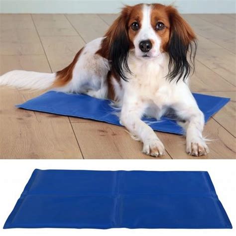 Matelas rafraîchissant pour chien Morin accessoires tapis et