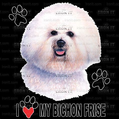 Bichon Frise | Dogs Home Iron On DTF (Direct To Film) Heat Transfers ...