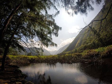 Genesis Of Waipio Blog Genesis Of Waipio Blog News Updates And Info