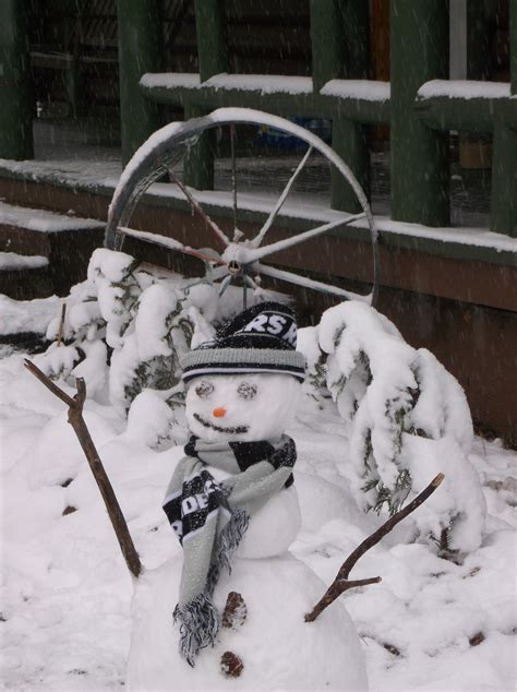 Restoration projects will preserve the beauty of christopher creek 10