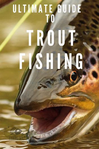 Trout fishing basics trout fishing tips and techniques for beginners ...