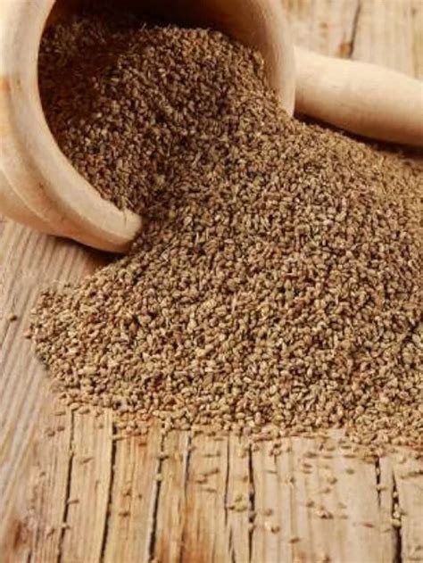 Potential Health Benefits Of Ajwain Carom Seeds United Impacts