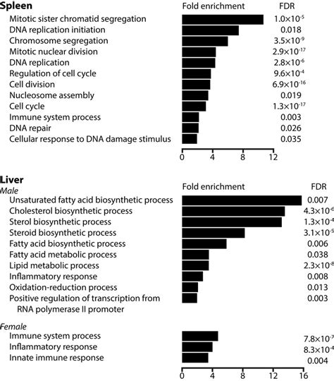 Gene Ontology Go Enrichment Analysis For Differentially Expressed