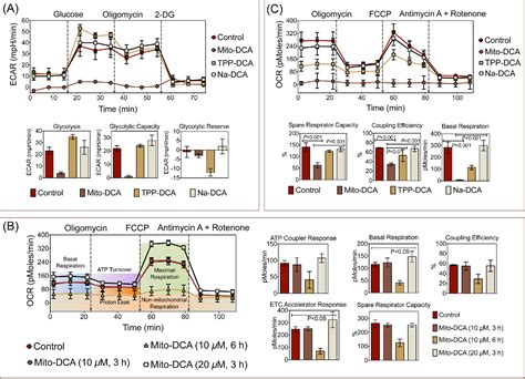 Figure From Mito Dca A Mitochondria Targeted Molecular Scaffold For