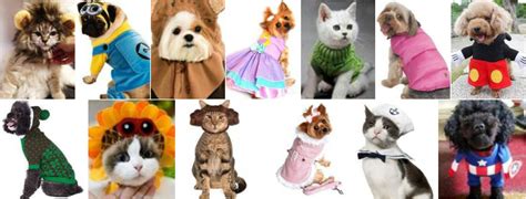 Happy National Dress Up Your Pet Day