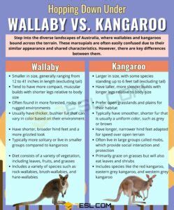 Wallaby vs. Kangaroo: The Difference between Wallaby and Kangaroo • 7ESL