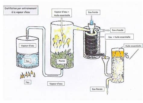 Comment Faire Huile Essentielle Le Comment Faire