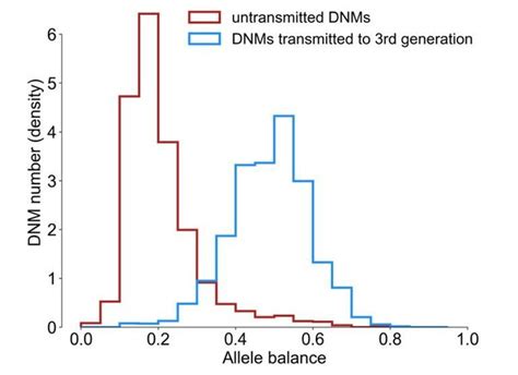 Figures And Data In Large Three Generation Human Families Reveal Post