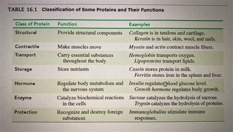 Solved TABLE 16 1 Classification Of Some Proteins And Their Chegg