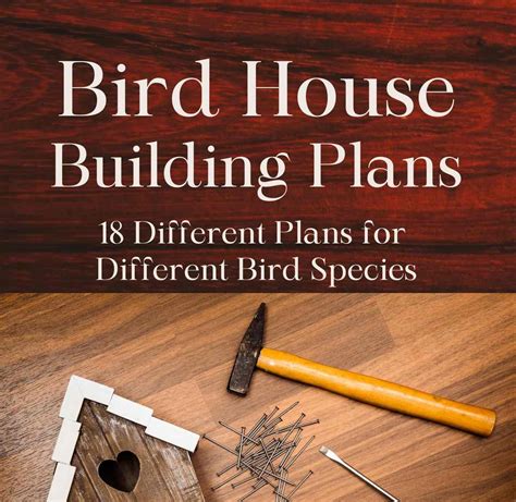 Bird House Building Plans, 18 Designs PDF File, E-book - Etsy