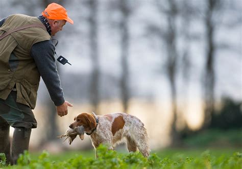 Les Missions De La F N C Fédération Nationale Des Chasseurs