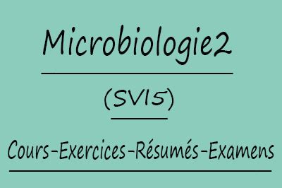 Microbiologie Svi Cours Td Et Exercices R Sum S Examens