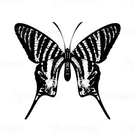 Elegante Mariposa Silueta Aislado 26146450 PNG