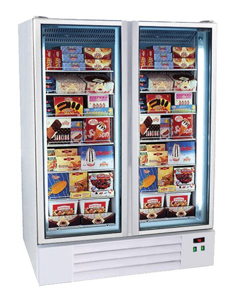 Premium Large Upright Double Glass Door Freezer