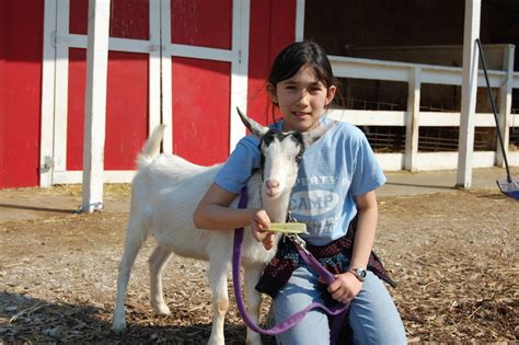 Petting Farm | Petting Zoo | Forest View Farms, horseback riding lessons, trail rides, horse ...