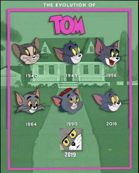 The Evolution of Tom : r/TomAndJerry