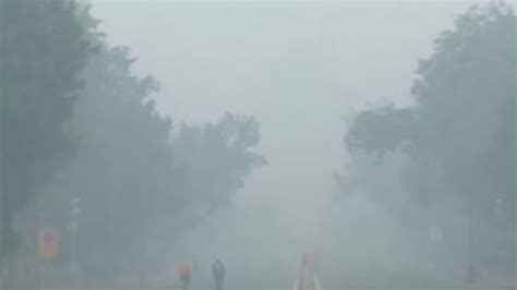 Agency News | Air Pollution: Delhi Continues to Suffer 'Severe' Air ...