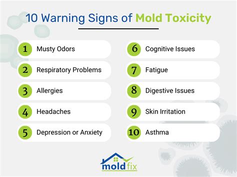 10 Warning Signs Of Mold Toxicity Recognizing The Symptoms