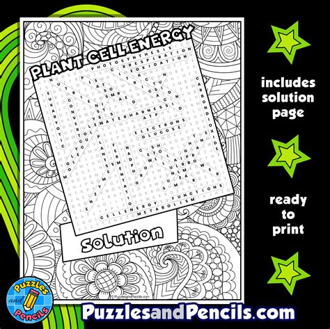 color a plant cell 7