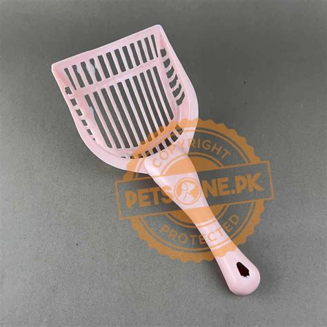 Cat Litter Scoop – Large - Klumpy, Pakistan