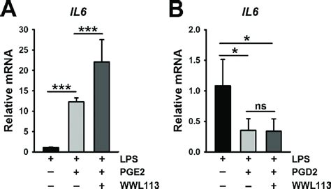 A Lps Induced Il Mrna Levels In Human Macrophages Were Potentiated