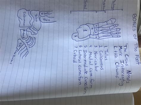 Pin by Anny Malla on LisFranc injury | Cuboid, Lisfranc injury, Math