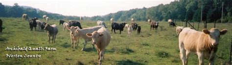 Washington County Tennessee Century Farms