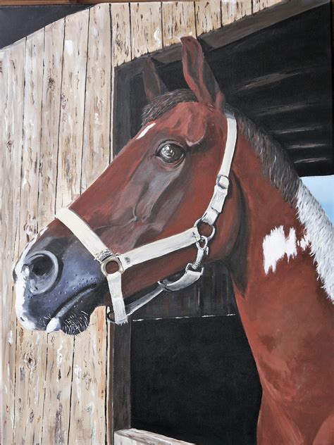 Horse Painted Acrylic Paints - Free photo on Pixabay - Pixabay