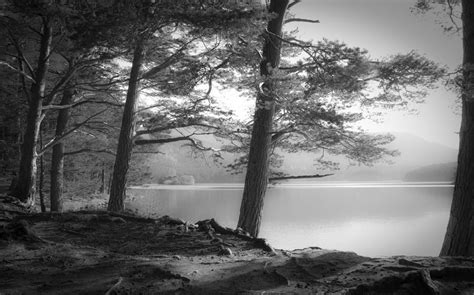 Fondos De Pantalla X Px Colina Lago Paisaje Niebla