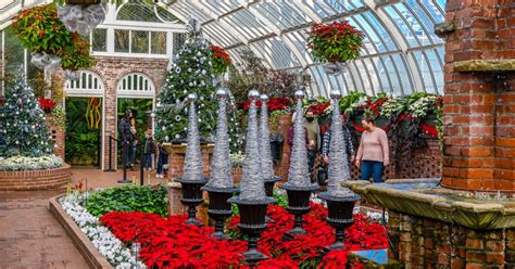 Winter Flower Show and Light Garden 2021: Holiday Magic! Sparkle and ...