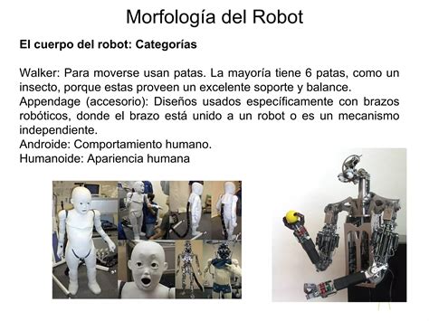 Morfologia Del Robot PPT Descarga Gratuita