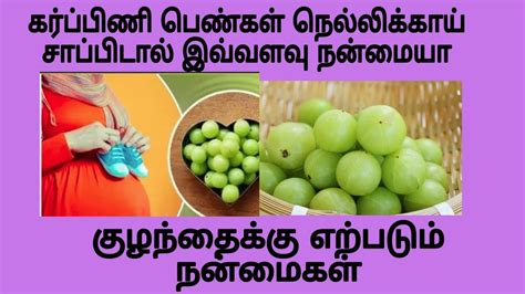 Nellikai Benefits For Pregnancy In Tamil Is It Safe To Have Amla