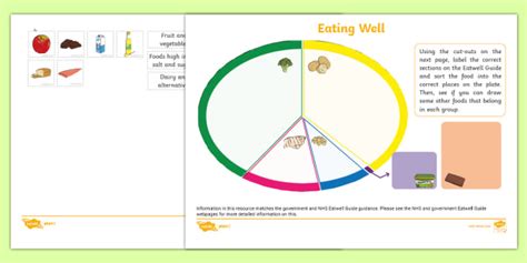 Eating Well Divided Plate Activity Sheet Teacher Made