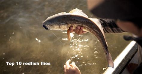 Our Top 10 Redfish Flies | Ole Florida Fly Shop