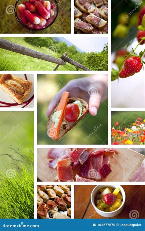 Picnic in the countryside stock photo. Image of field - 102277670