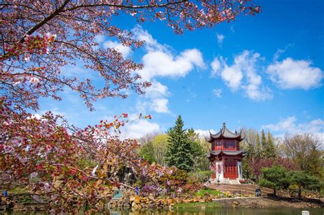 Jardin botanique | Art Public Montréal