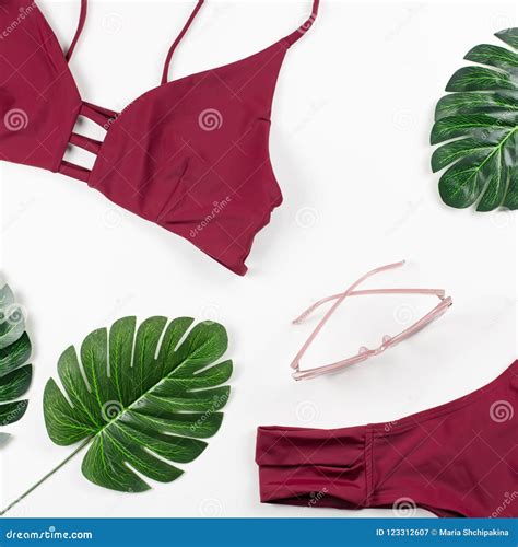 Fondo De Las Vacaciones De Verano Concepto Tropical Del Verano Con El Bikini Las Hojas Y Las