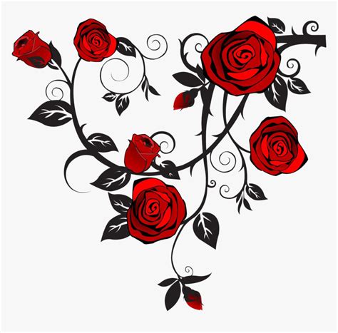 Red Rose With Vine Drawing
