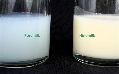 Fakta Tentang Hindmilk dan Foremilk yang Harus Bunda Tahu