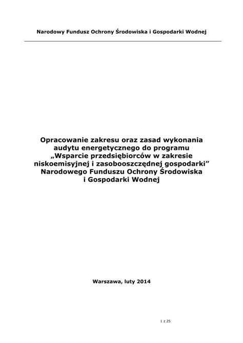 Pdf Opracowanie Zakresu Oraz Zasad Wykonania Audytu File