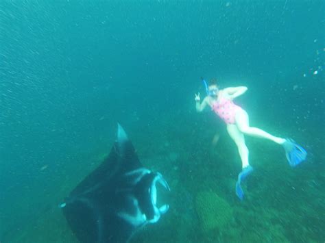 Nusa Penida Snorkeling Tour To Manta Point Aha Bali