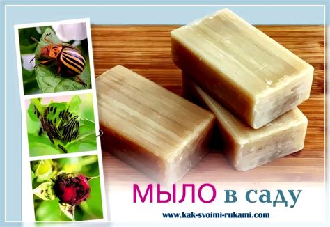 Мыло в саду и огороде - применение | DIY - как сделать самому!