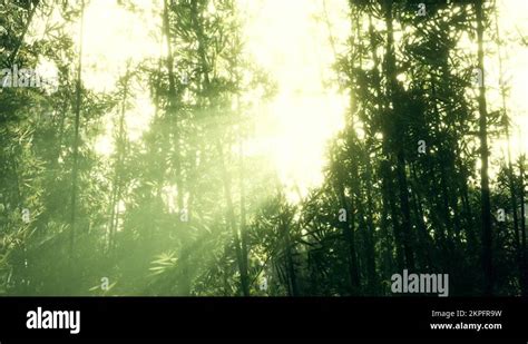 Plant Behind Frosted Glass Stock Videos Footage HD And 4K Video