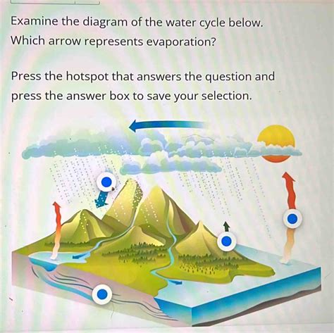 Solved: Examine the diagram of the water cycle below. Which arrow ...