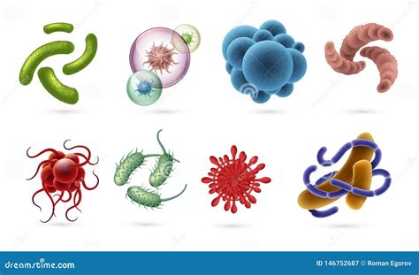 Realistic Viruses Germs And Infection Bacteria Cells Microbiology