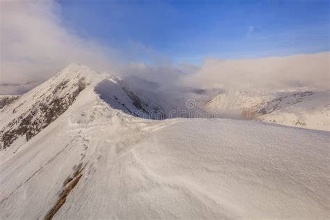 Moldoveanu Peak in winter stock image. Image of fagaras - 134783821